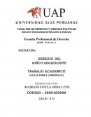 DERECHO DEL NIÑO Y ADOLESCENTE TRABAJO ACADEMICO