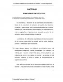 El empleo de la auditoría administrativa para optimizar la gestión empresarial