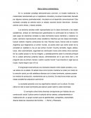 Marco teórico metodológico.