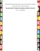 Psicología del Desarrollo Infantil (0-12 años)