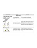 Mineralogiía- Tipo de muestreo