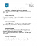 Transformaciones urbanas y rurales.