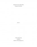 Parte II ¿Cuál es la idea central del poema?