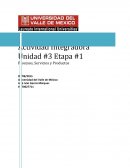 Actividad Integradora Unidad #3 Etapa #1