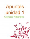 OPERACIÓN DE PROYECTO EDUCATIVOS