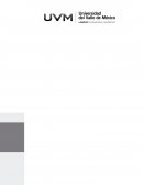 Administrador global a nivel profesional