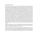 METAMORFOSIS DEL AMOR