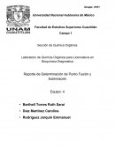 Reporte de Determinación de Punto Fusión y Sublimación