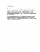 Proyecto sistema de extracción minera