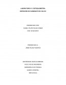 LABORATORIO N° 3 ESTEQUIOMETRÍA: