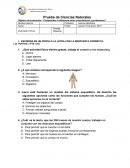Prueba de Ciencias Naturales Objetivo de evaluación: “Comprender la diferencia entre consumidores y productores”