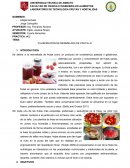ELABORACIÓN DE MERMELADA DE FRUTILLA