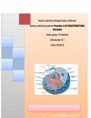 Ultraestructura celular