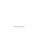 ENSAYO VISION 2025 TOLIMA