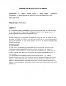 Observación del ADN del hígado de pollo