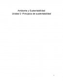 Ambiente y Sustentabilidad en Linares Nuevo León