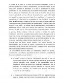 Tarea Florence Nightingale