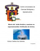 Vitrificacion de semen de bovino con la adicion de antioxidantes xantona y acido ferulico