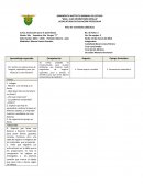 Pensamiento matematico Evaluación para el aprendizaje
