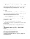 Pequeños actores para grandes cambios