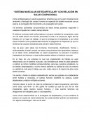 Sistema Osteo muscular - Salud Ocupacional