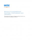 Propuesta de Estrategia Corporativa y Sustentabilidad