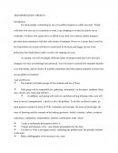 TRANSPORTATION PROJECT