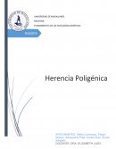 La herencia poligénica