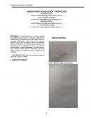 Practica de reflexion y reflaccion.