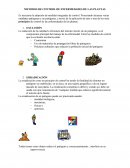 Manejo integrado de plagas de las plantas