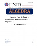 Proyecto Final de Álgebra