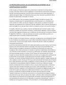 RESUMEN LIBRO LA PROTECCIÓN JUDICIAL DE LOS DERECHOS EN INTERNET DE LA JURISPRUDENCIA EUROPEA