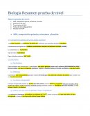 ADN, composición química, estructura y función