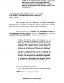 Designacion defensor juridico