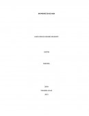 Proyecto de vida etica