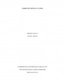 CONTADURIA PUBLICA-QUINTO SEMESTRE