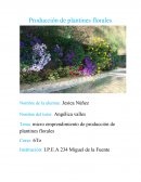 Tesis de plantines florales