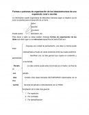 Formas o patrones de organización de las ideas/estructura de una exposición (oral o escrita)