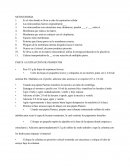 Cuestionario del tema Mitocondria