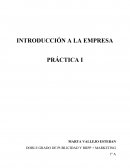Introducción a la empresa.Los cuadros a analizar representan los informes