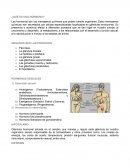 Las hormonas son los mensajeros químicos que posee nuestro organismo