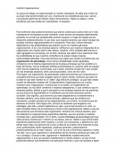 El cambio organizacional de la compañía