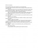 El leon y la mariposa