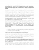 Concepciones antropológicas de cultura