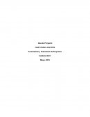 Formulación y Evaluación de Proyectos