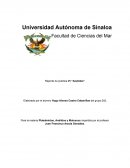 Reporte de práctica #5 “Anelidos”