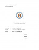 INFORME DE LABORATORIO