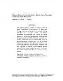 Bullying o matoneo Carencia de afecto