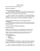 ANÁLISIS DE LA ORGANIZACIÓN