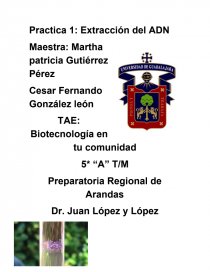 Extraccion del adn ejemplarizado. Página 1